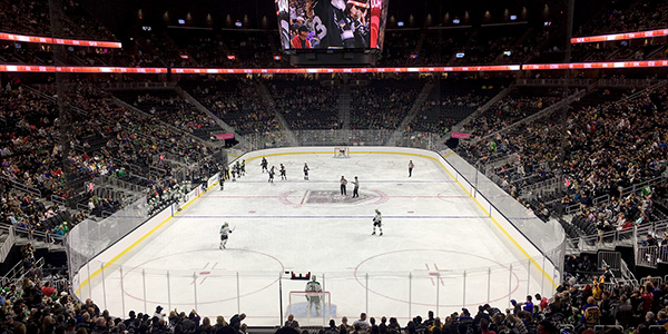 Image of Vegas Golden Knights