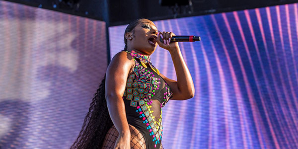 Image of Megan Thee Stallion