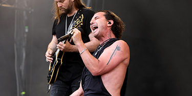 Image of Bush - Band