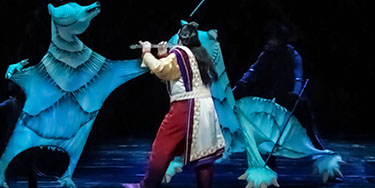 Image of The Magic Flute