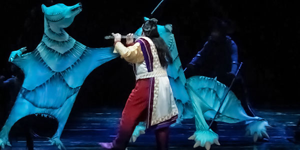 Image of The Magic Flute