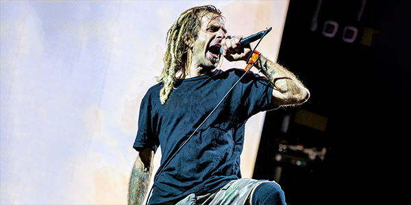 Image of Lamb Of God