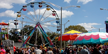 Image of Florida Strawberry Festival