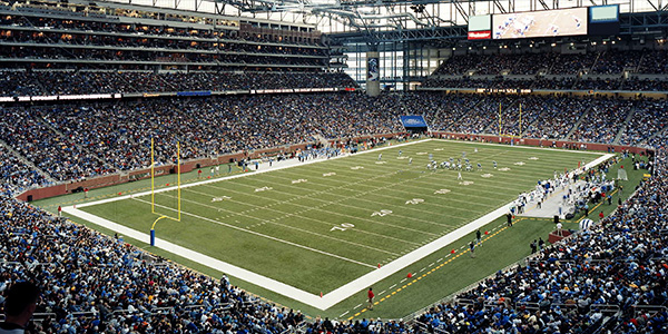 Image of Detroit Lions
