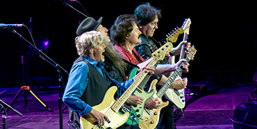 Image of The Doobie Brothers