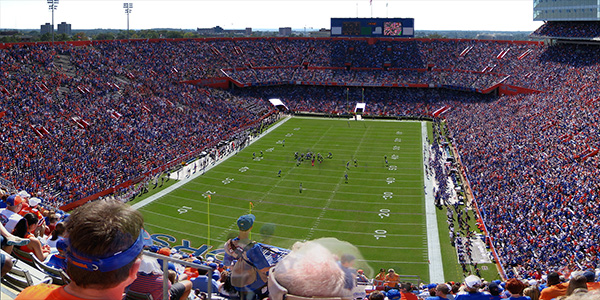 Image of Florida Gators