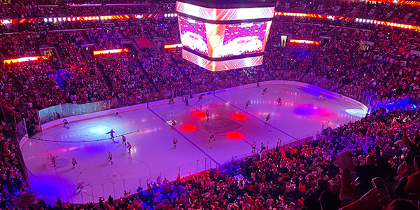 Image of Florida Panthers