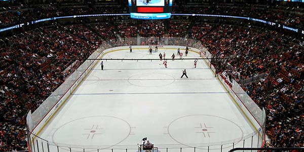 Image of Anaheim Ducks