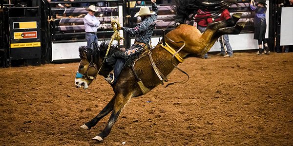 Image of National Finals Rodeo