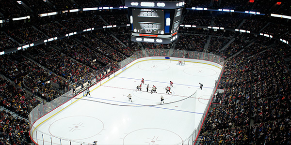 Image of Ottawa Senators