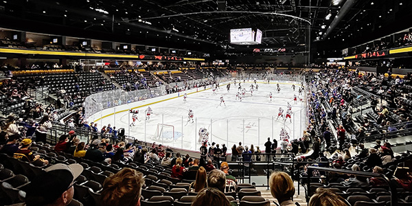 Image of Arizona Coyotes