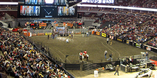 Image of PBR - Professional Bull Riders
