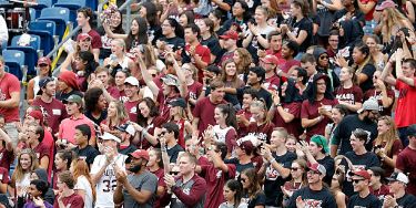 Image of UMass Minutemen