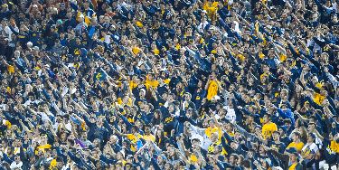 Image of California Golden Bears Football