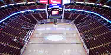 Image of Toronto Maple Leafs