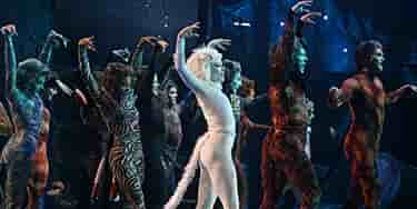 Image of Cats - The Musical