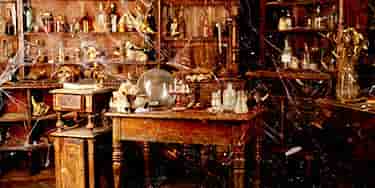 Image of Oddities & Curiosities