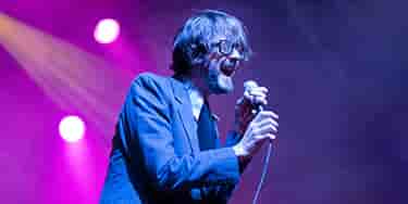 Image of Pulp