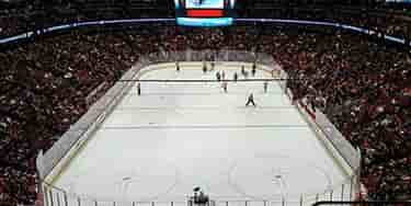 Image of Anaheim Ducks