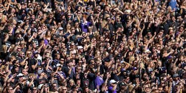 Image of TCU Horned Frogs