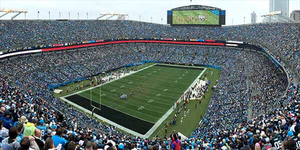 Image of Carolina Panthers In Tampa
