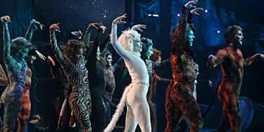 Image of Cats - The Musical