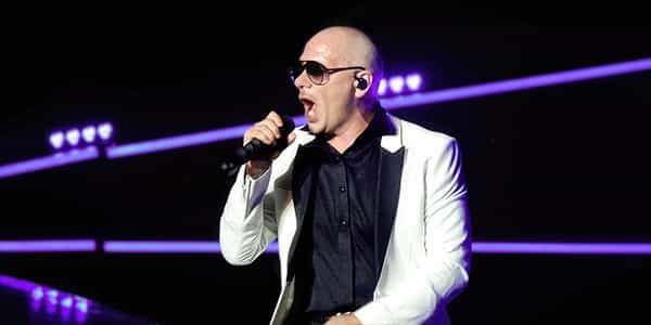 Image of Pitbull In Cuyahoga Falls