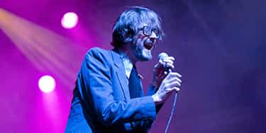 Image of Pulp In Toronto