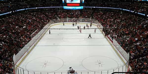 Image of Anaheim Ducks In Las Vegas