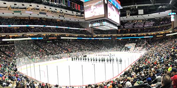 Image of Minnesota Wild In Saint Paul