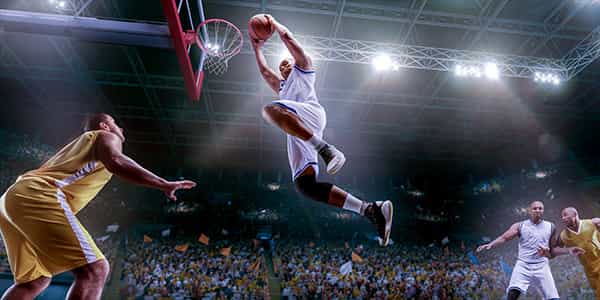 Image of Nba Preseason In Miami