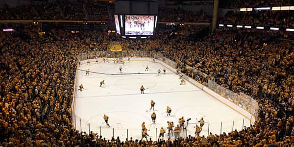Image of Nashville Predators In Nashville