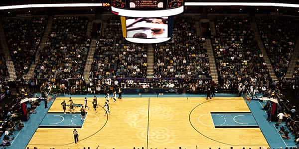 Image of New Orleans Pelicans In Washington