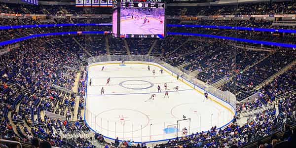 Image of New York Islanders In Anaheim