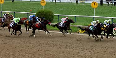 Image of Preakness Stakes