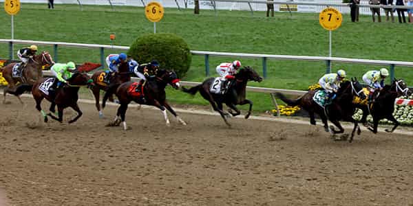 Image of Preakness Stakes In Baltimore
