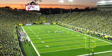Image of Oregon Ducks In Eugene