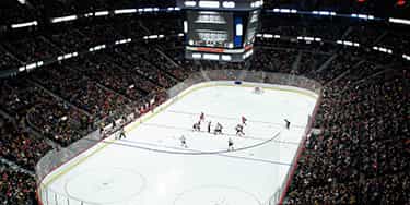 Image of Ottawa Senators In Raleigh