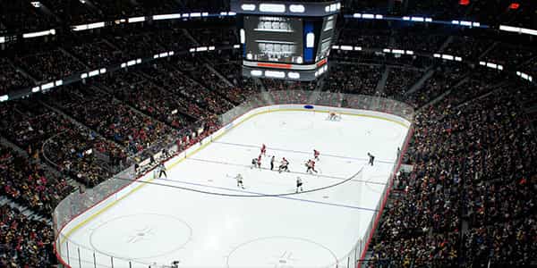 Image of Ottawa Senators In Edmonton