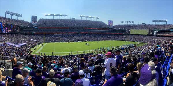 Image of Baltimore Ravens In Baltimore