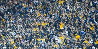 Image of California Golden Bears Football