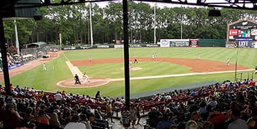 Image of Savannah Bananas In St. Louis