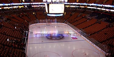 Image of Boston Bruins In Las Vegas