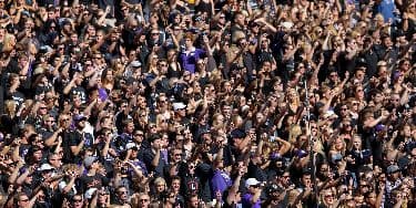 Image of Tcu Horned Frogs In Morgantown
