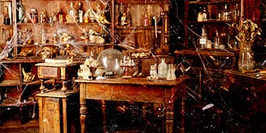 Image of Oddities Curiosities In San Jose