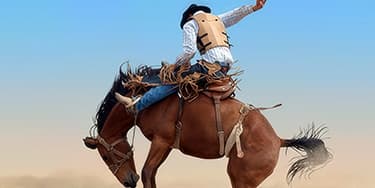 Image of Houston Livestock Show And Rodeo At Houston, TX - NRG Stadium
