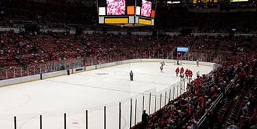 Image of Detroit Red Wings In Sunrise