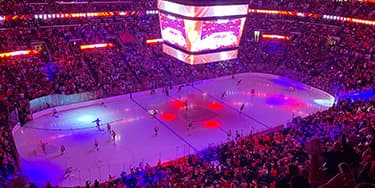 Image of Florida Panthers In Washington