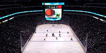 Image of Dallas Stars In Calgary