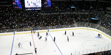 Image of Los Angeles Kings In Edmonton